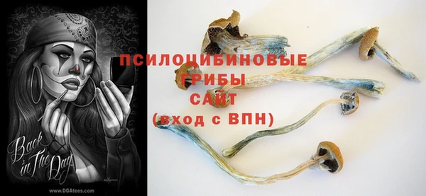меф Медногорск
