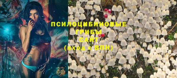 меф Медногорск