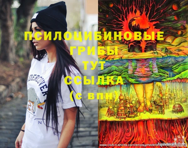 меф Медногорск