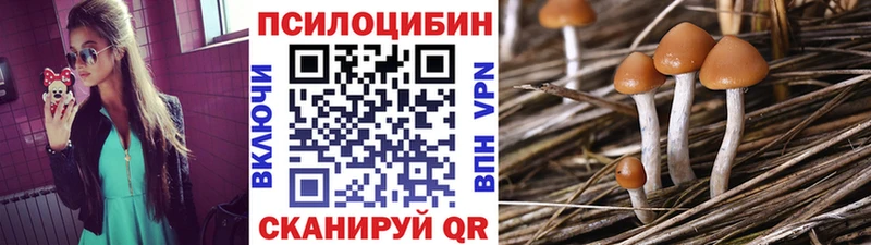 даркнет сайт  omg сайт  Псилоцибиновые грибы ЛСД  Шатура 