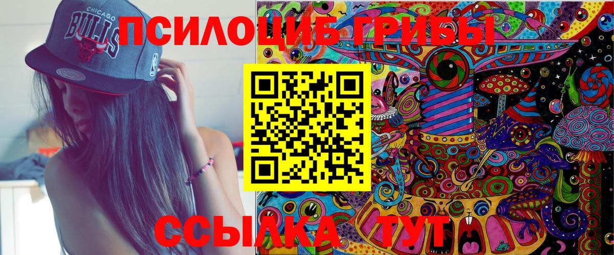 Галлюциногенные грибы прущие грибы  где можно купить наркотик  Шатура 