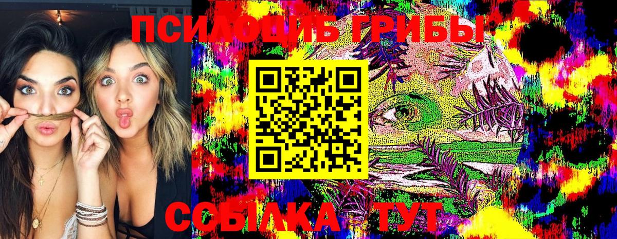 Псилоцибиновые грибы Psilocybe Шатура