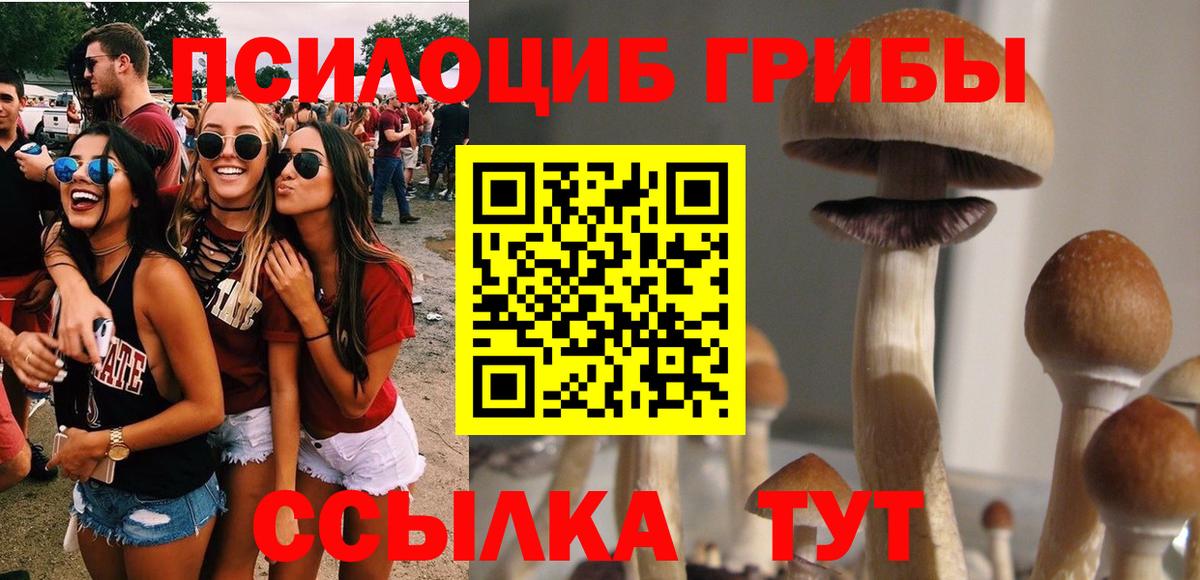 Галлюциногенные грибы мицелий Шатура
