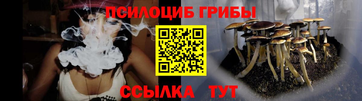 Шатура  Псилоцибиновые грибы MAGIC MUSHROOMS  Вход с VPN 